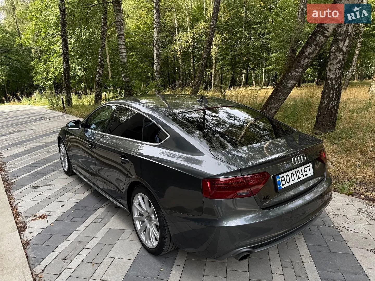 2014 Audi A5 - мініатюра 13