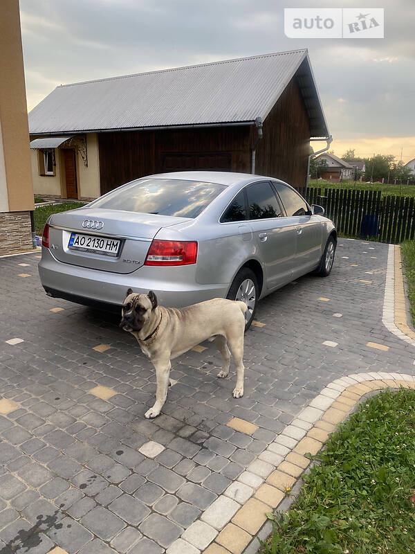 2008 Audi A6, VIN WAUZZZ4F88N098075:plate — zdjęcie 1 (autoria)