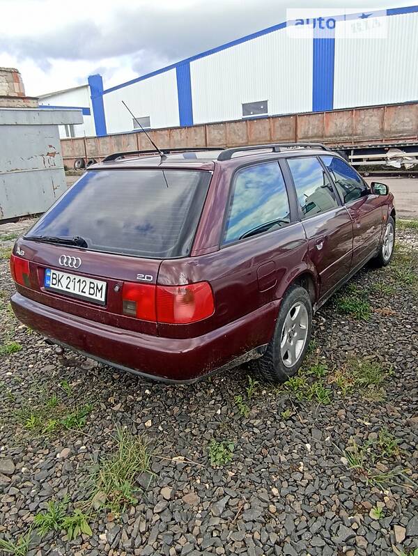 Універсал Audi A6 1995 в Рівному
