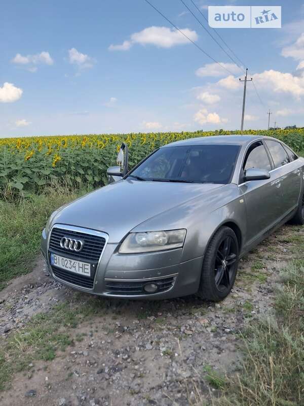 2005 Audi A6, VIN WAUZZZ4F16N024445:plate — фото 1 (autoria)
