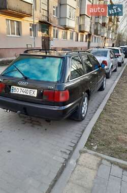 Універсал Audi A6 1995 в Теофіполі