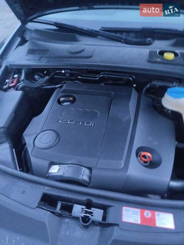 Универсал Audi A6 2008 в Борисполе