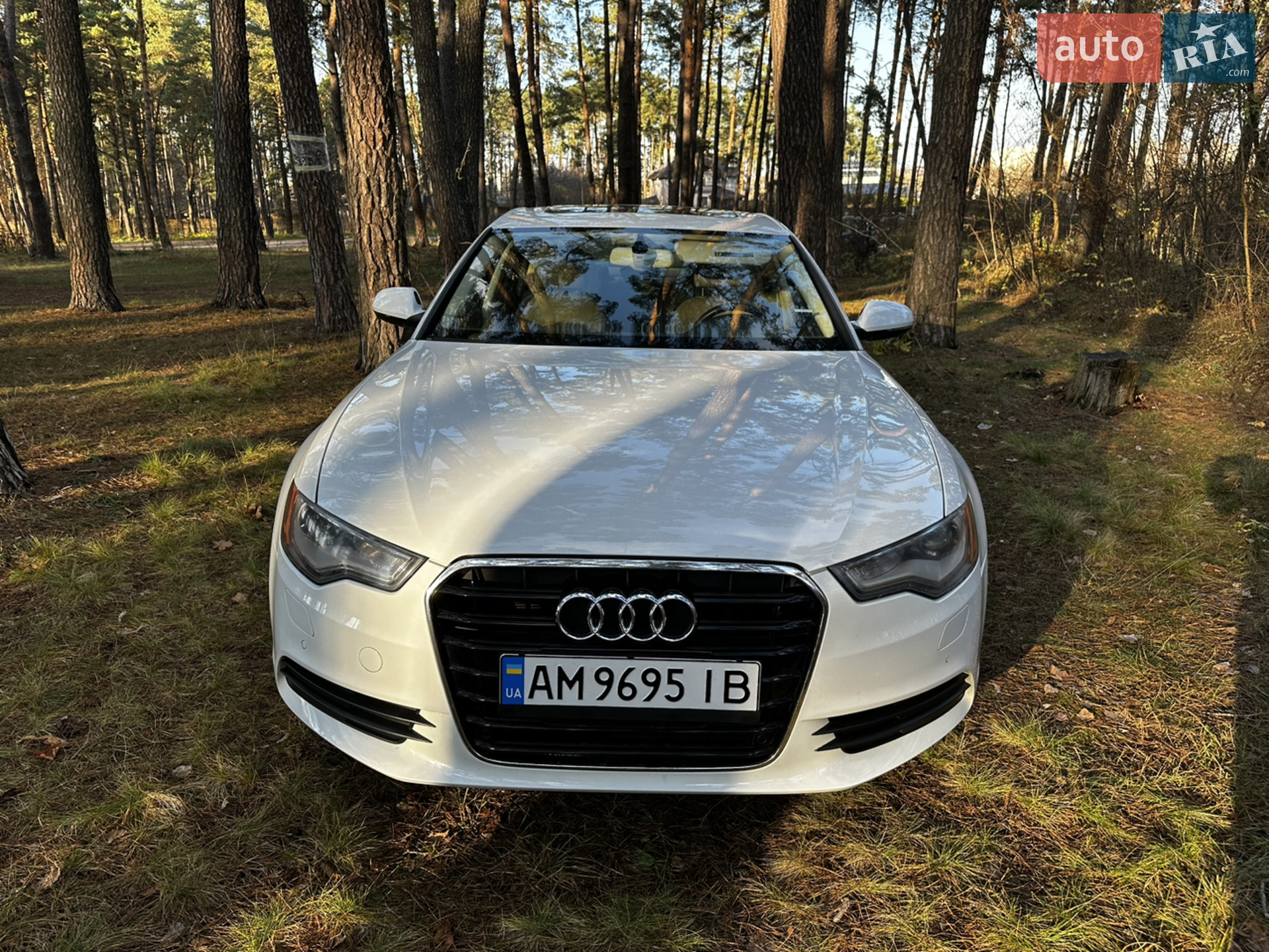 2013 Audi A6 - мініатюра 9