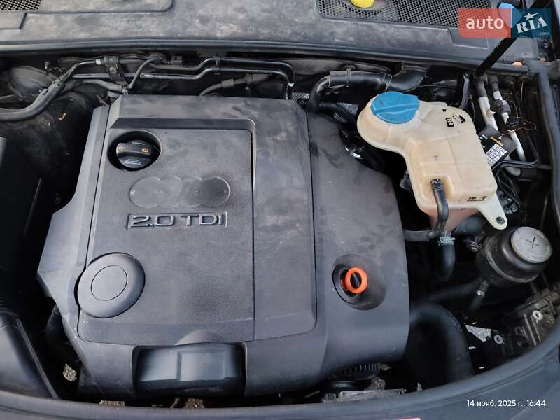 Универсал Audi A6 2008 в Бердичеве