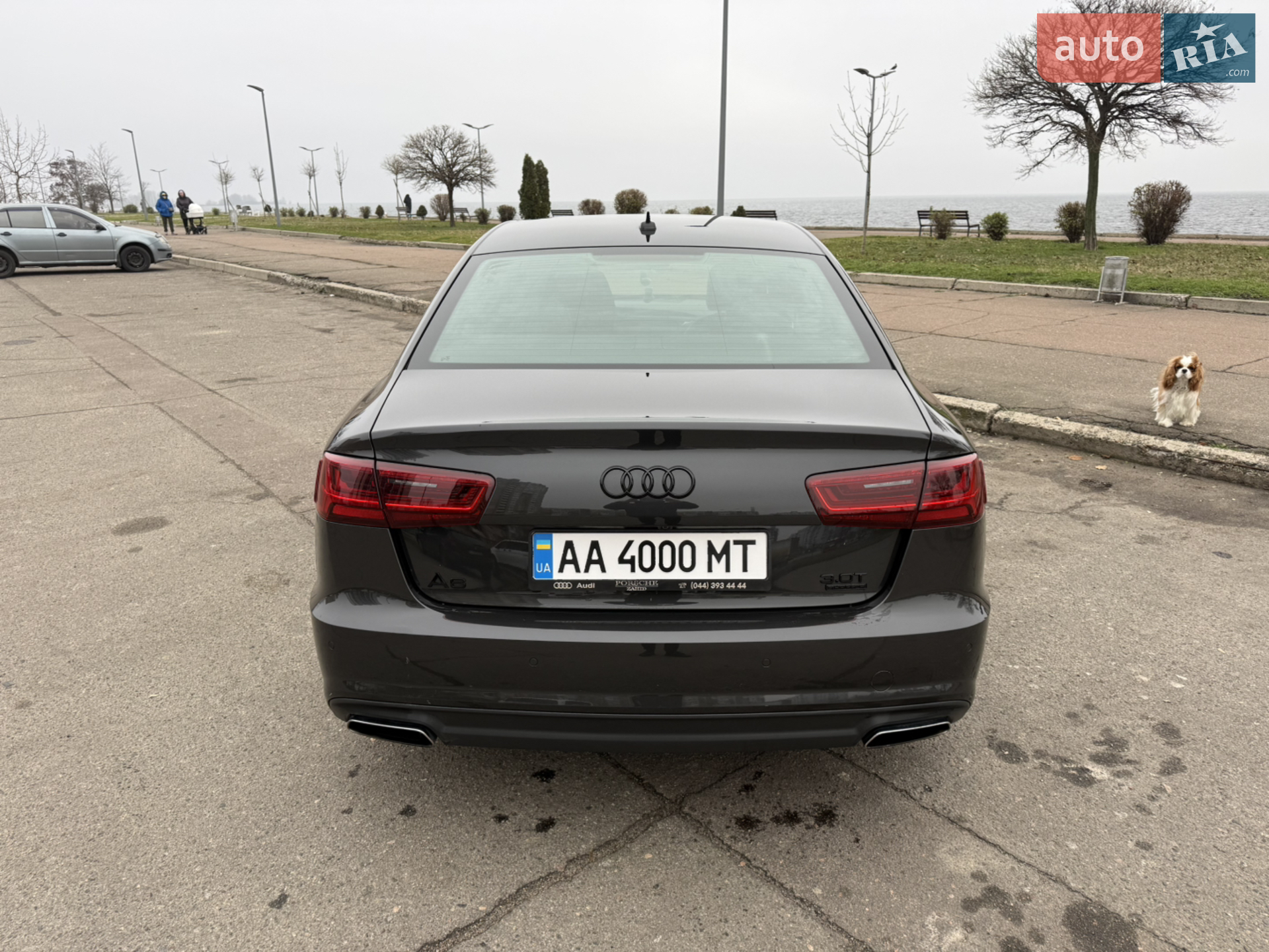 2017 Audi A6 - мініатюра 10
