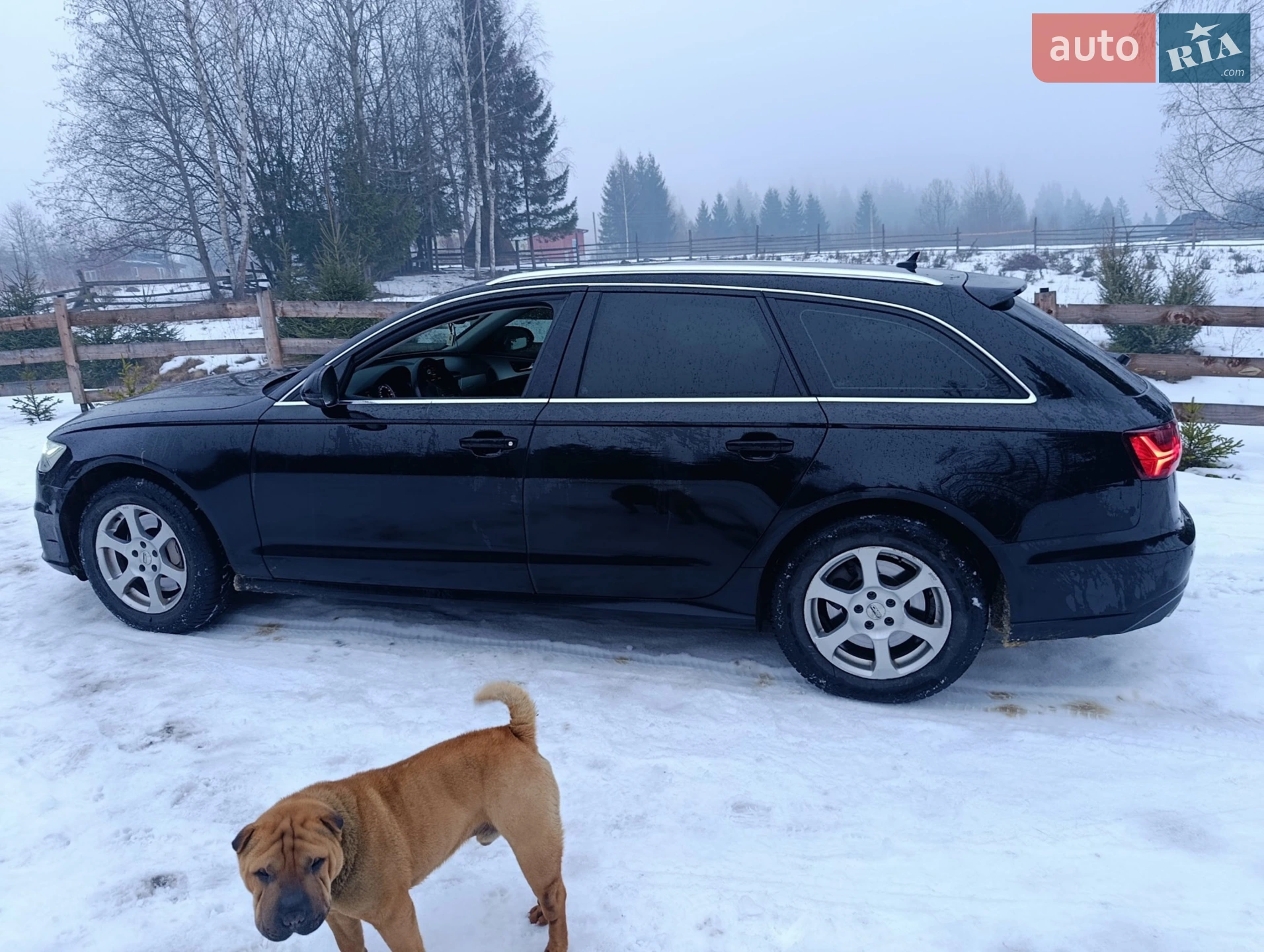 2015 Audi A6 - мініатюра 8
