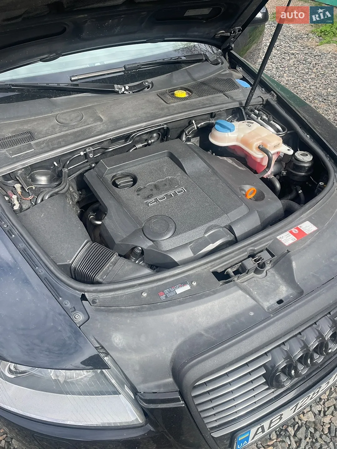 Audi A6 2005 VIN WAUZZZ4F46N030823 фото оголошення 2 з 10