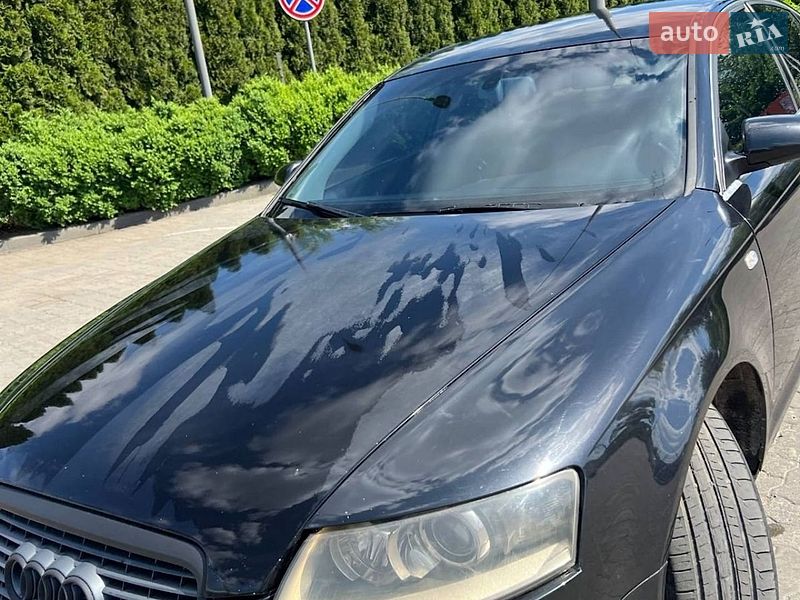 2005 Audi A6, VIN WAUZZZ4F26N074500:plate — фото 1 (autoria)