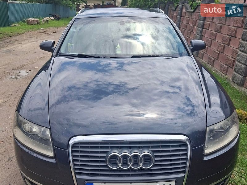 2006 Audi A6, VIN WAUZZZ4F87N068864:plate — фото 1 (autoria)