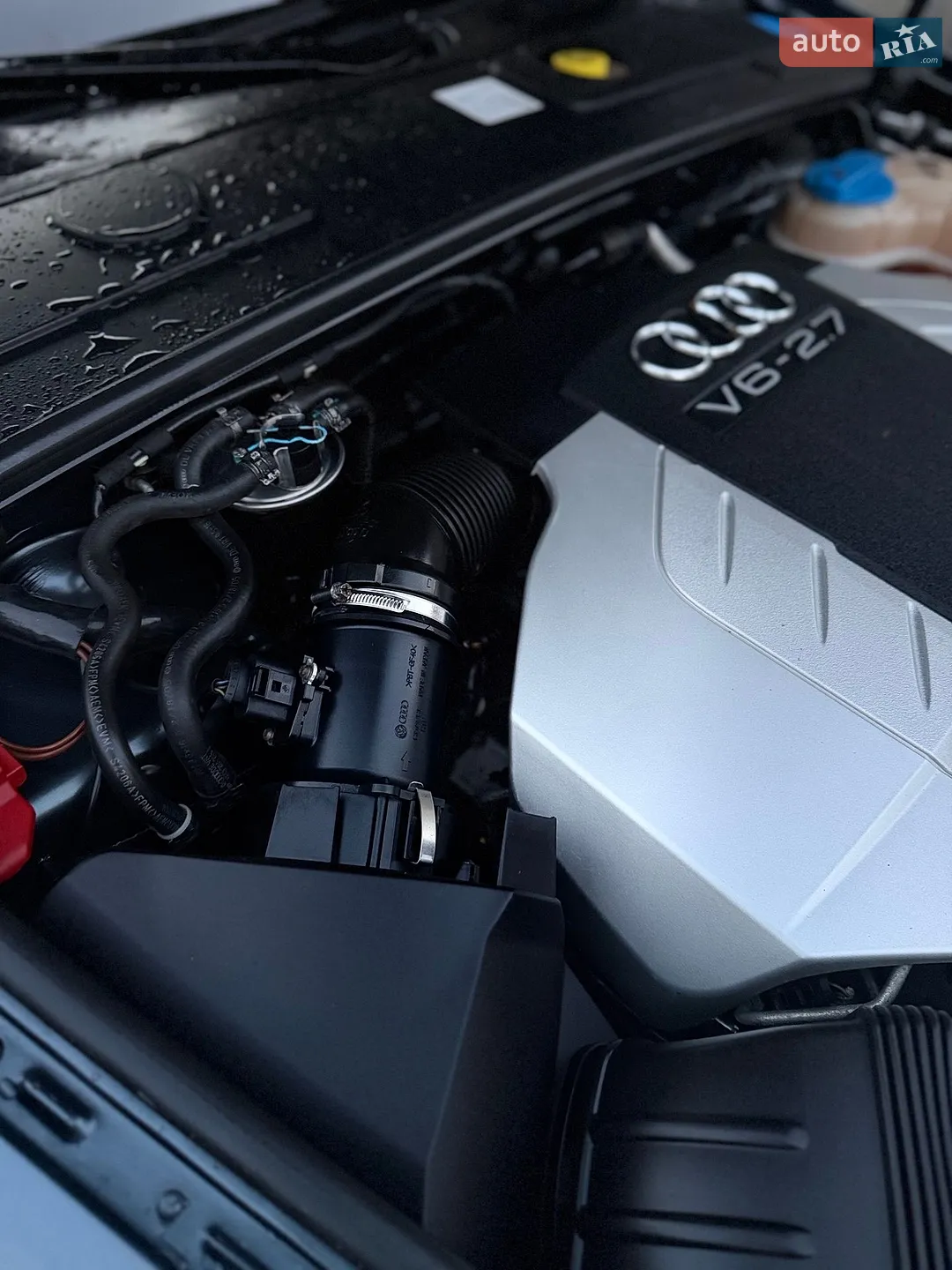 Audi A6 2005 VIN WAUZZZ4F16N024249 фото оголошення 21 з 26