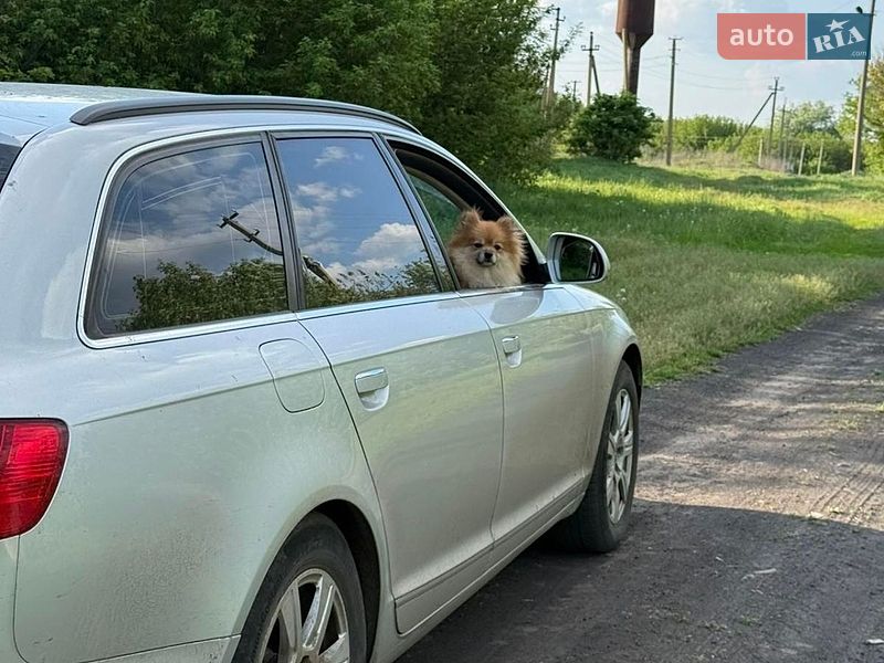 Универсал Audi A6 2009 в Краснограде