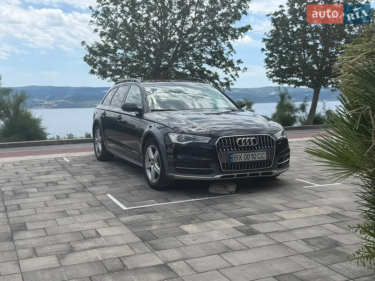 2010 Audi A6 - мініатюра 19