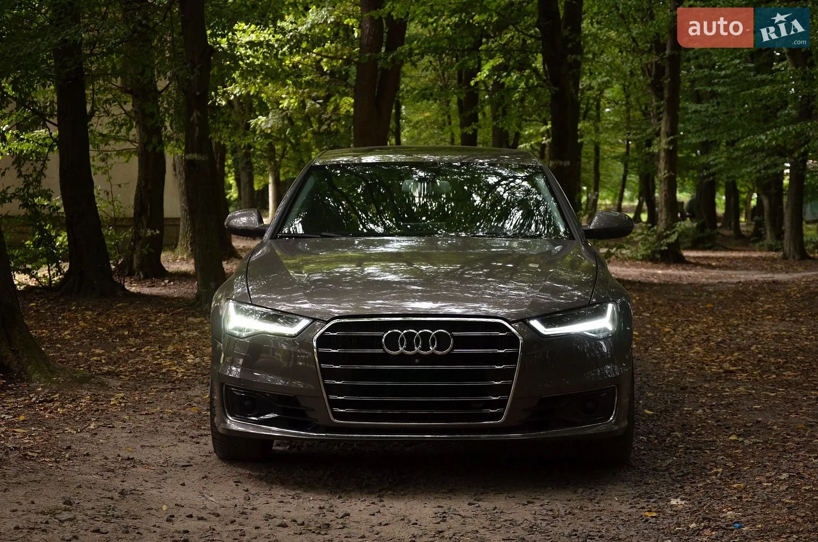2015 Audi A6 - фото 1