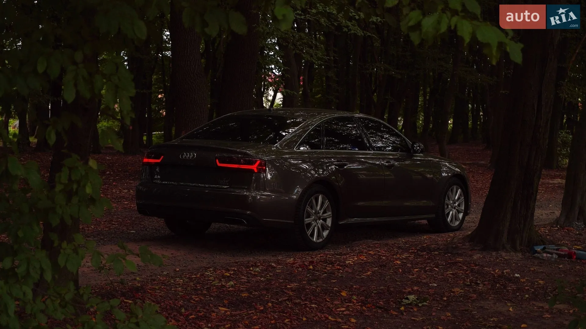 2015 Audi A6 - мініатюра 22