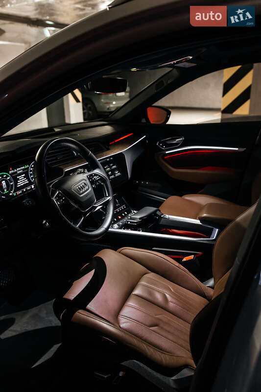 Внедорожник / Кроссовер Audi e-tron 2019 в Киеве фото 24 Внедорожник / Кроссовер Audi e-tron 2019 в Киеве