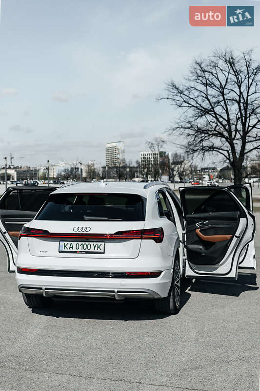 Внедорожник / Кроссовер Audi e-tron 2019 в Киеве фото 70 Внедорожник / Кроссовер Audi e-tron 2019 в Киеве