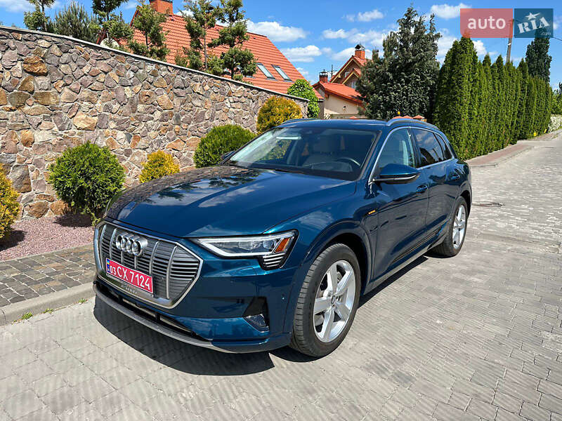 Внедорожник / Кроссовер Audi e-tron 2019 в Горохове фото 13 Внедорожник / Кроссовер Audi e-tron 2019 в Горохове