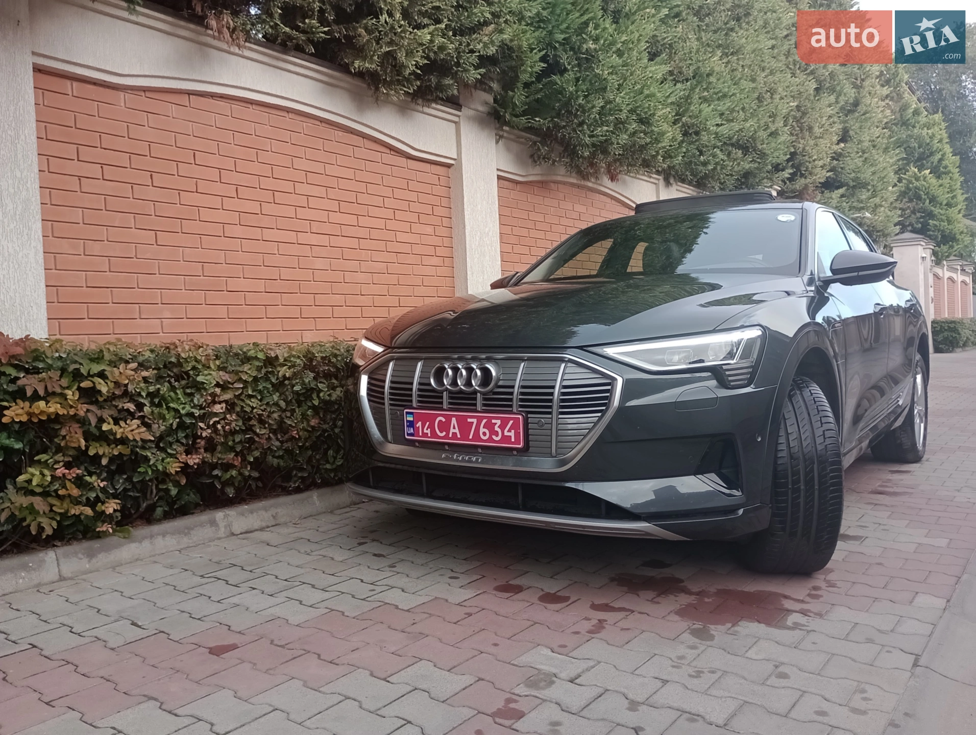 2019 Audi e-tron - фото 1