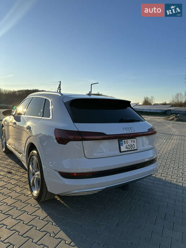 Внедорожник / Кроссовер Audi e-tron 2019 в Тернополе фото 12 Внедорожник / Кроссовер Audi e-tron 2019 в Тернополе
