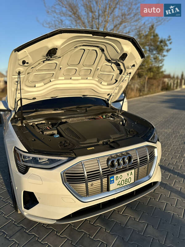 Внедорожник / Кроссовер Audi e-tron 2019 в Тернополе фото 14 Внедорожник / Кроссовер Audi e-tron 2019 в Тернополе