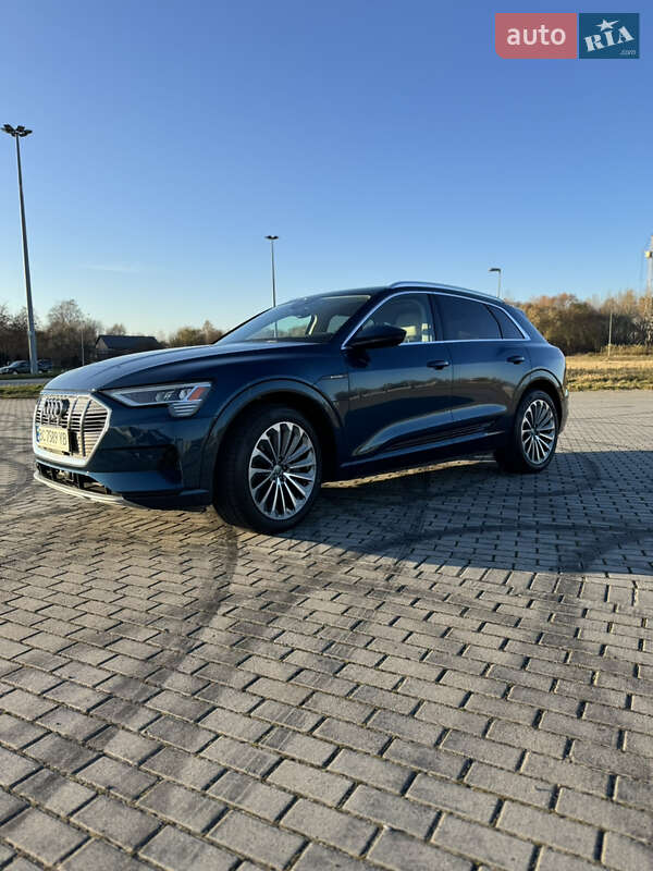 Позашляховик / Кросовер Audi e-tron 2019 в Львові фото 28 Позашляховик / Кросовер Audi e-tron 2019 в Львові