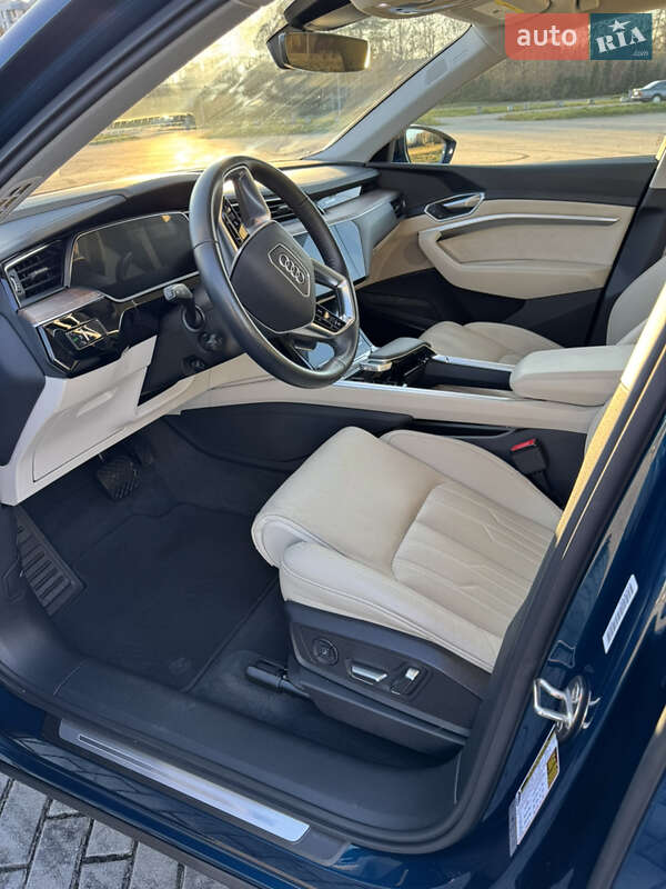 Позашляховик / Кросовер Audi e-tron 2019 в Львові фото 53 Позашляховик / Кросовер Audi e-tron 2019 в Львові