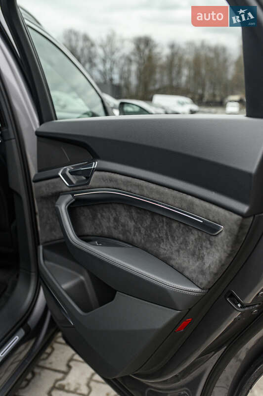 Внедорожник / Кроссовер Audi e-tron 2020 в Львове фото 42 Внедорожник / Кроссовер Audi e-tron 2020 в Львове