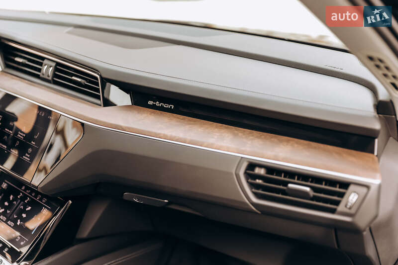 Внедорожник / Кроссовер Audi e-tron 2019 в Самборе фото 53 Внедорожник / Кроссовер Audi e-tron 2019 в Самборе