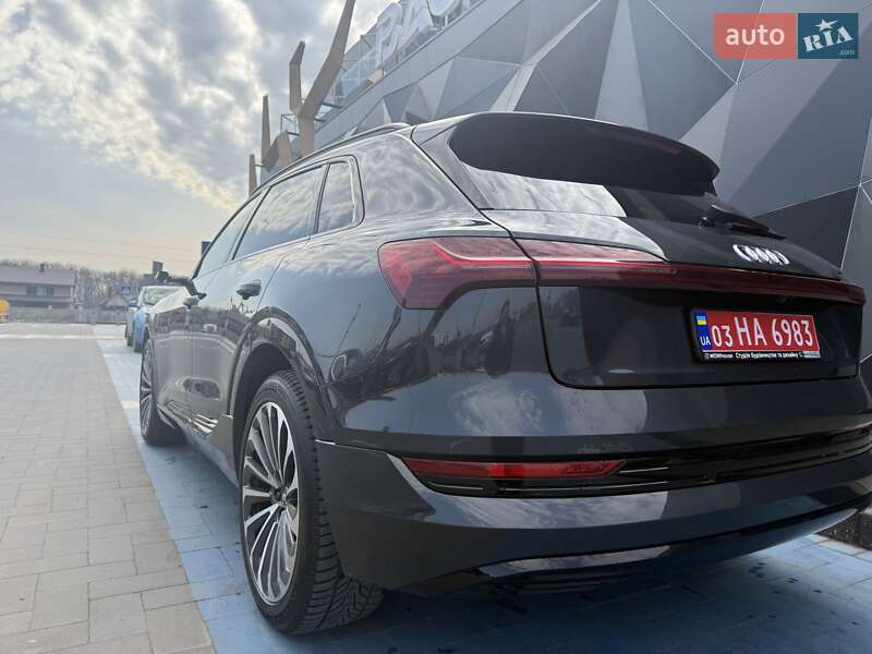 Внедорожник / Кроссовер Audi e-tron 2019 в Луцке фото 13 Внедорожник / Кроссовер Audi e-tron 2019 в Луцке