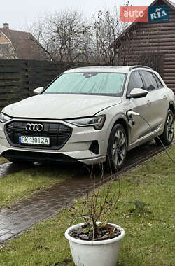 Audi e-tron 2021 Audi e-tron 2021