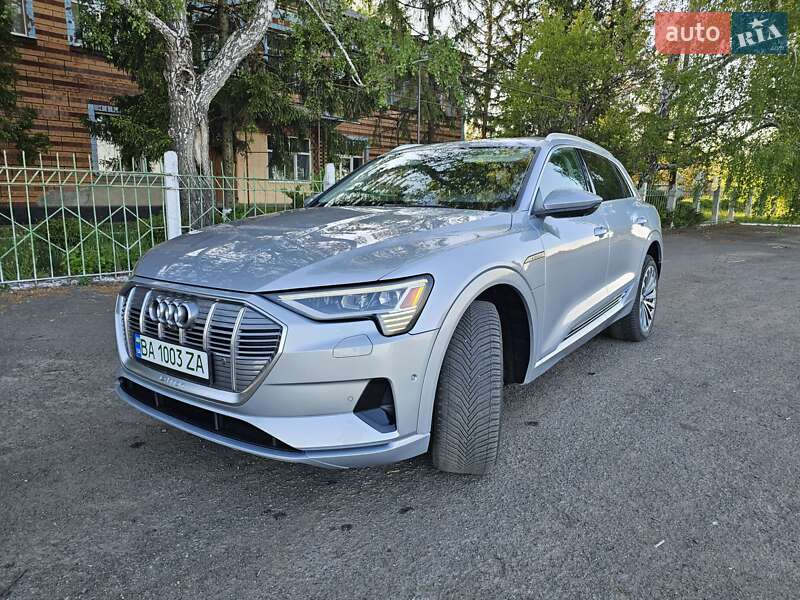Позашляховик / Кросовер Audi e-tron 2019 в Гайвороні