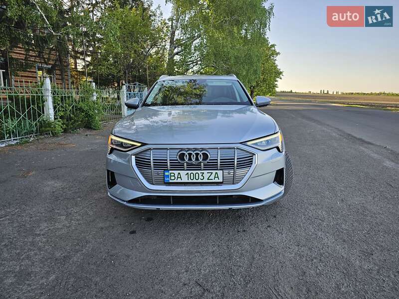 Позашляховик / Кросовер Audi e-tron 2019 в Гайвороні