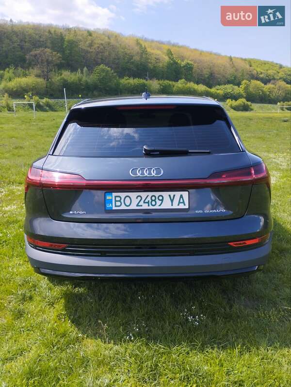 Внедорожник / Кроссовер Audi e-tron 2020 в Тернополе фото 13 Внедорожник / Кроссовер Audi e-tron 2020 в Тернополе