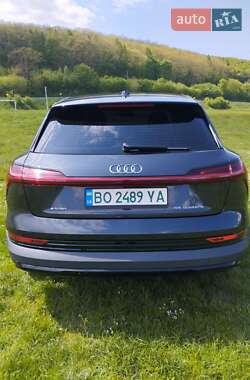 Внедорожник / Кроссовер Audi e-tron 2020 в 