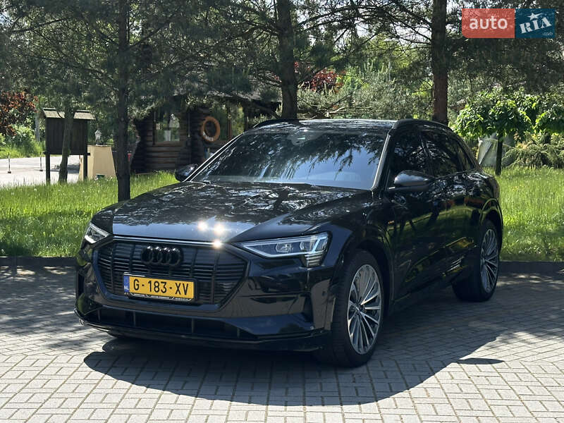 Внедорожник / Кроссовер Audi e-tron 2019 в Дрогобыче фото 12 Внедорожник / Кроссовер Audi e-tron 2019 в Дрогобыче