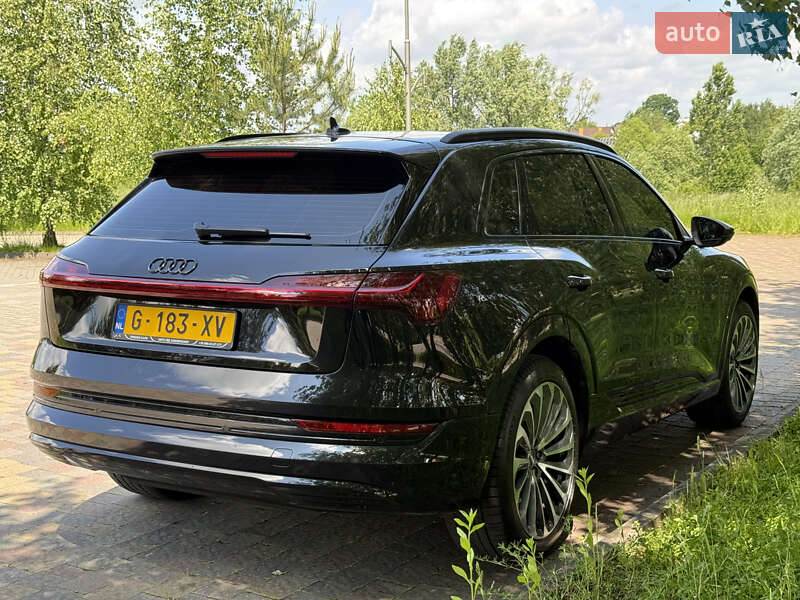Внедорожник / Кроссовер Audi e-tron 2019 в Дрогобыче фото 17 Внедорожник / Кроссовер Audi e-tron 2019 в Дрогобыче