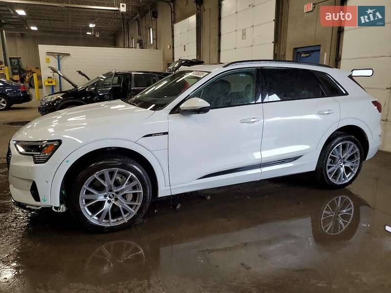 Audi e-tron 2021