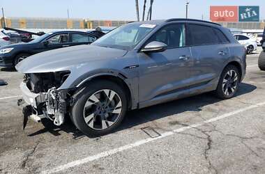 Audi e-tron 2021 Audi e-tron 2021