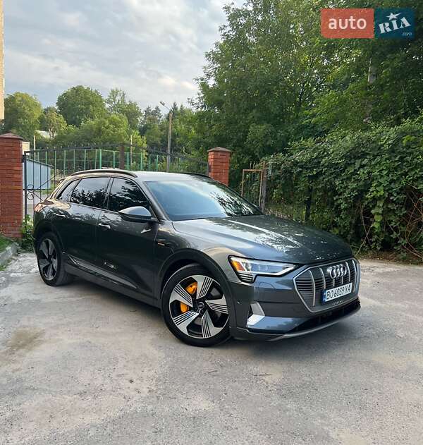 Внедорожник / Кроссовер Audi e-tron 2019 в Бучаче фото 4 Внедорожник / Кроссовер Audi e-tron 2019 в Бучаче