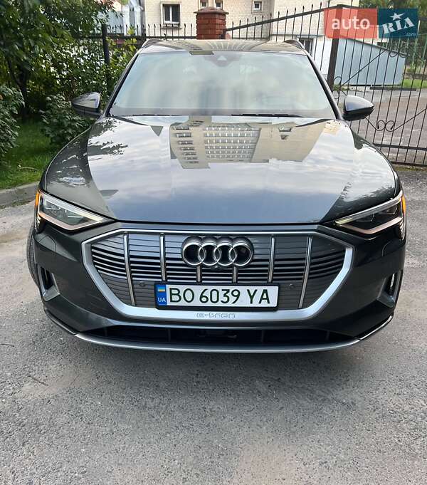 Внедорожник / Кроссовер Audi e-tron 2019 в Бучаче фото 8 Внедорожник / Кроссовер Audi e-tron 2019 в Бучаче