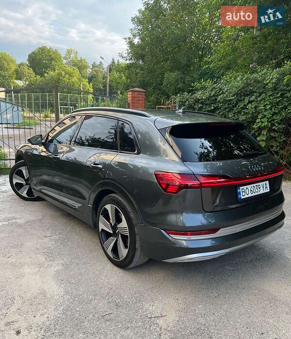 Внедорожник / Кроссовер Audi e-tron 2019 в Бучаче фото 10 Внедорожник / Кроссовер Audi e-tron 2019 в Бучаче