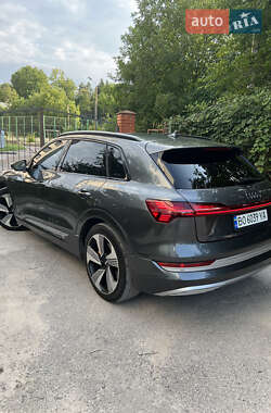 Внедорожник / Кроссовер Audi e-tron 2019 в 