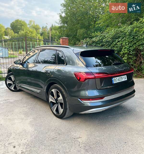 Внедорожник / Кроссовер Audi e-tron 2019 в Бучаче фото 11 Внедорожник / Кроссовер Audi e-tron 2019 в Бучаче