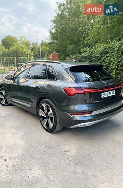 Внедорожник / Кроссовер Audi e-tron 2019 в 