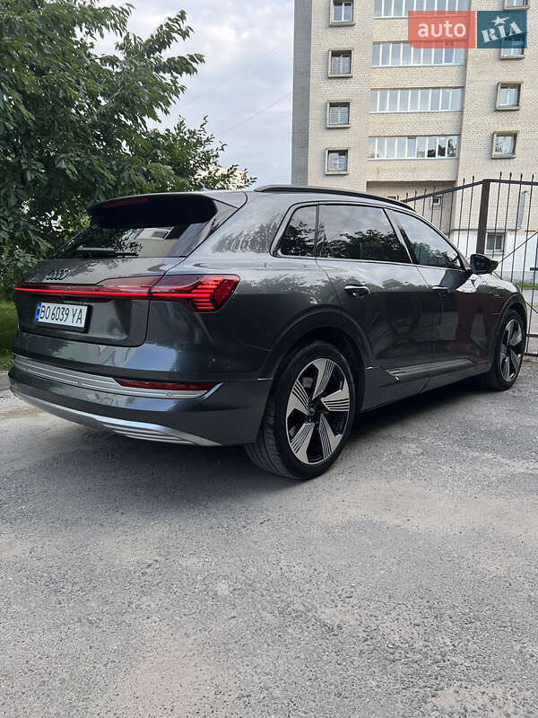 Внедорожник / Кроссовер Audi e-tron 2019 в Бучаче фото 18 Внедорожник / Кроссовер Audi e-tron 2019 в Бучаче