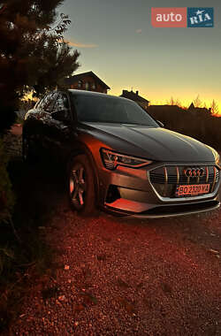 Audi e-tron 2019