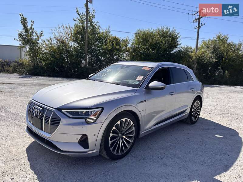 Audi e-tron 2019