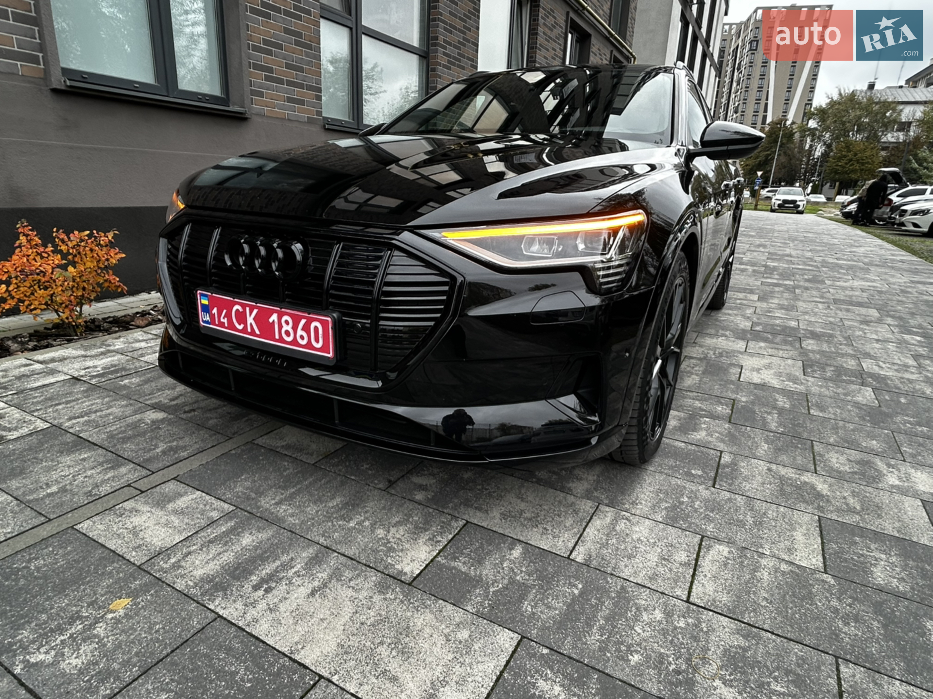 2019 Audi e-tron - мініатюра 4