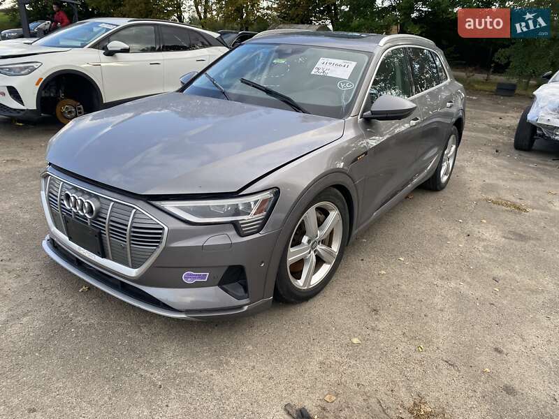 Внедорожник / Кроссовер Audi e-tron 2019 в Луцке фото 3 Внедорожник / Кроссовер Audi e-tron 2019 в Луцке