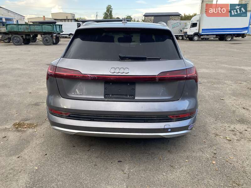Внедорожник / Кроссовер Audi e-tron 2019 в Луцке фото 6 Внедорожник / Кроссовер Audi e-tron 2019 в Луцке